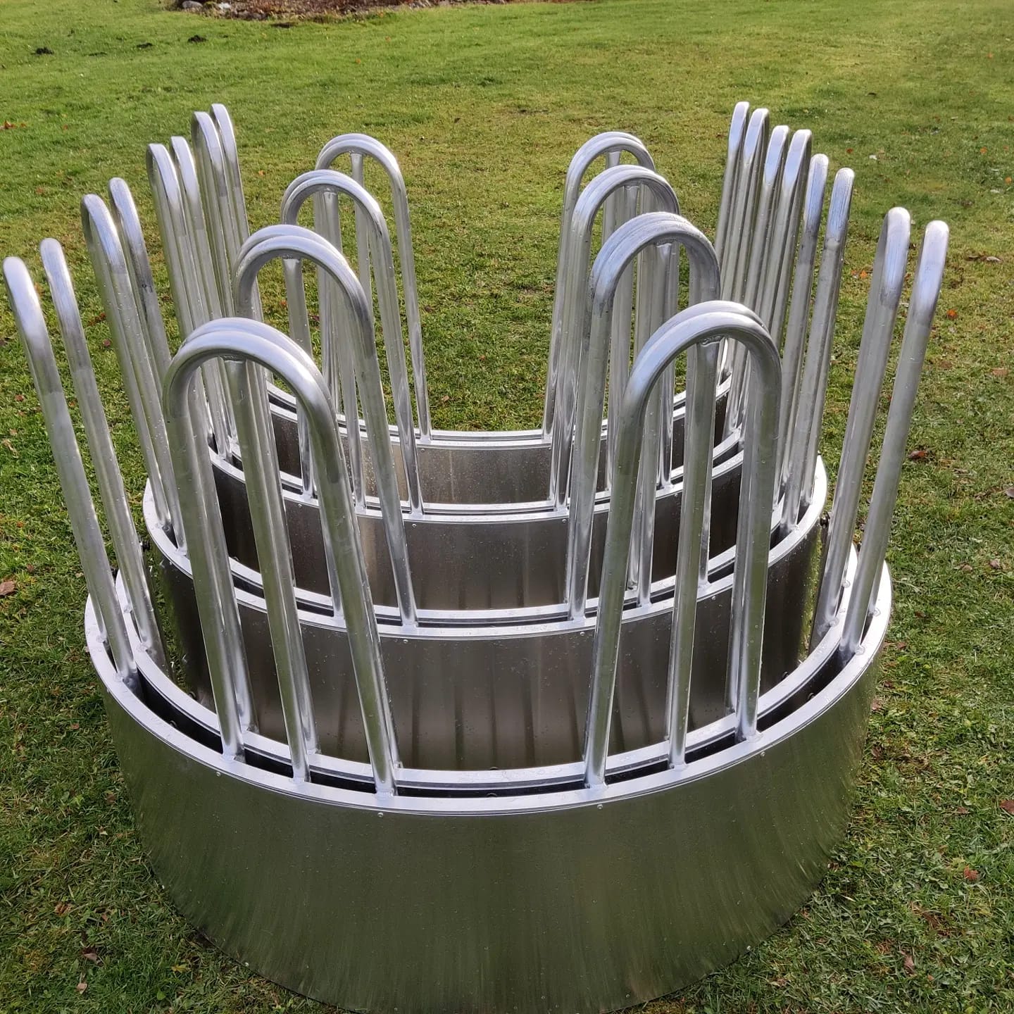 WhatsApp Image 2026 01 24 At 15.59.11