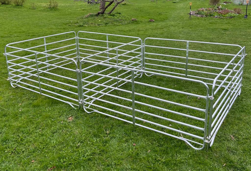 WhatsApp Image 2026 01 24 At 16.00.05 1