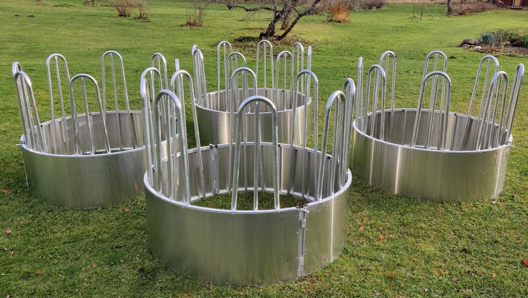 WhatsApp Image 2026 01 24 At 16.00.06