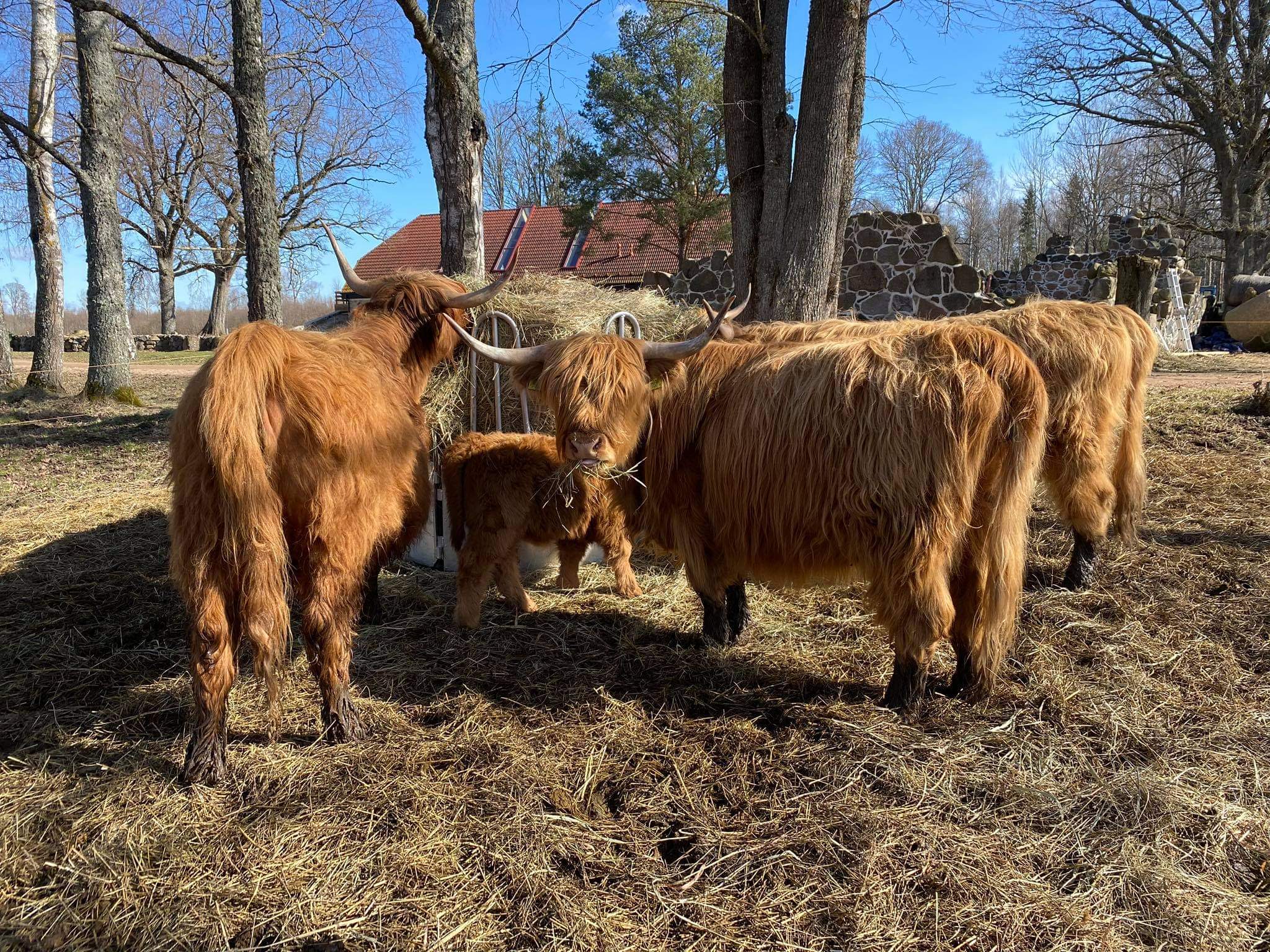 Received 267904118324964 1