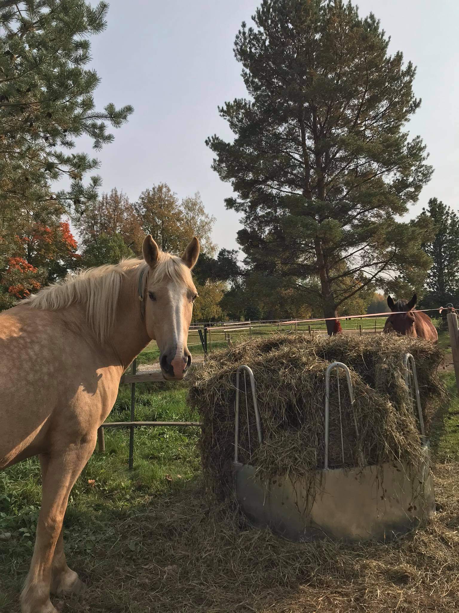 Received 802454400570689